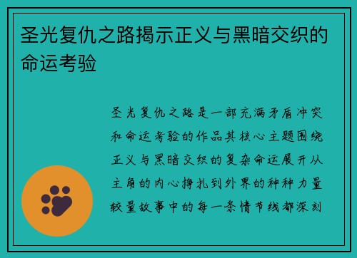圣光复仇之路揭示正义与黑暗交织的命运考验